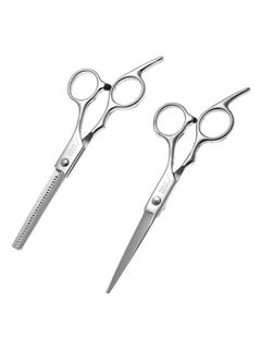 NIBEMINENT 2-Piece Professional Hair Scissor Set Silver 19.7 x 9.7cm  - Image 1
