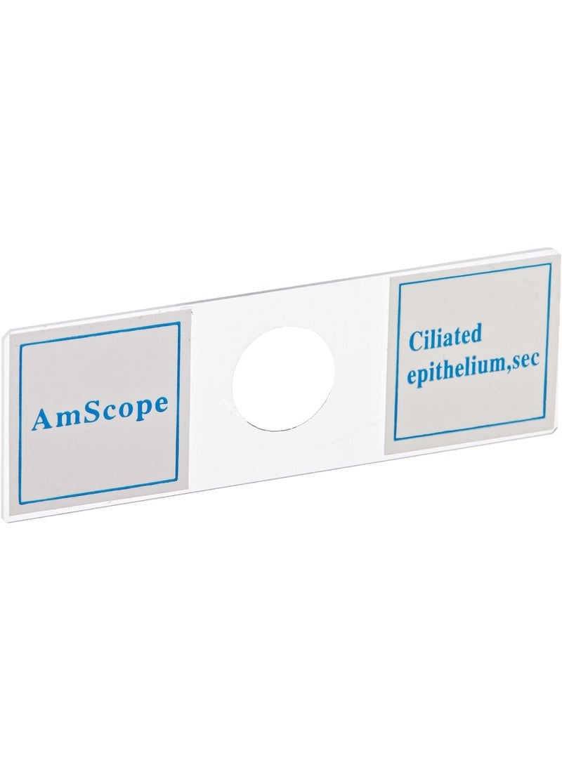 AmScope PS100A Prepared Microscope Slide Set for Basic Biological Science Education 100 Slides Set A Includes Fitted Wooden Case