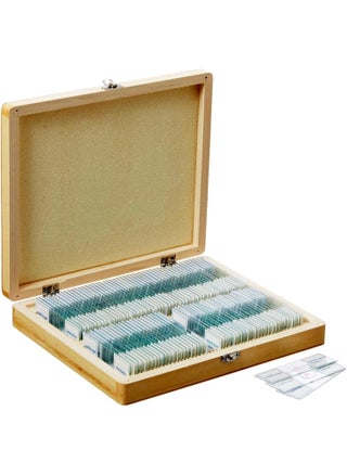 AmScope PS100A Prepared Microscope Slide Set for Basic Biological Science Education 100 Slides Set A Includes Fitted Wooden Case - pzsku/ZB91D1285756778A23B63Z/45/1747233402/dad4ca9d-5ece-4ad7-bf6f-fb360eb3319c