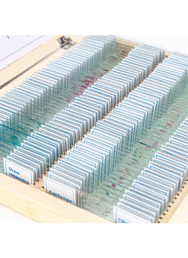 AmScope PS100A Prepared Microscope Slide Set for Basic Biological Science Education 100 Slides Set A Includes Fitted Wooden Case