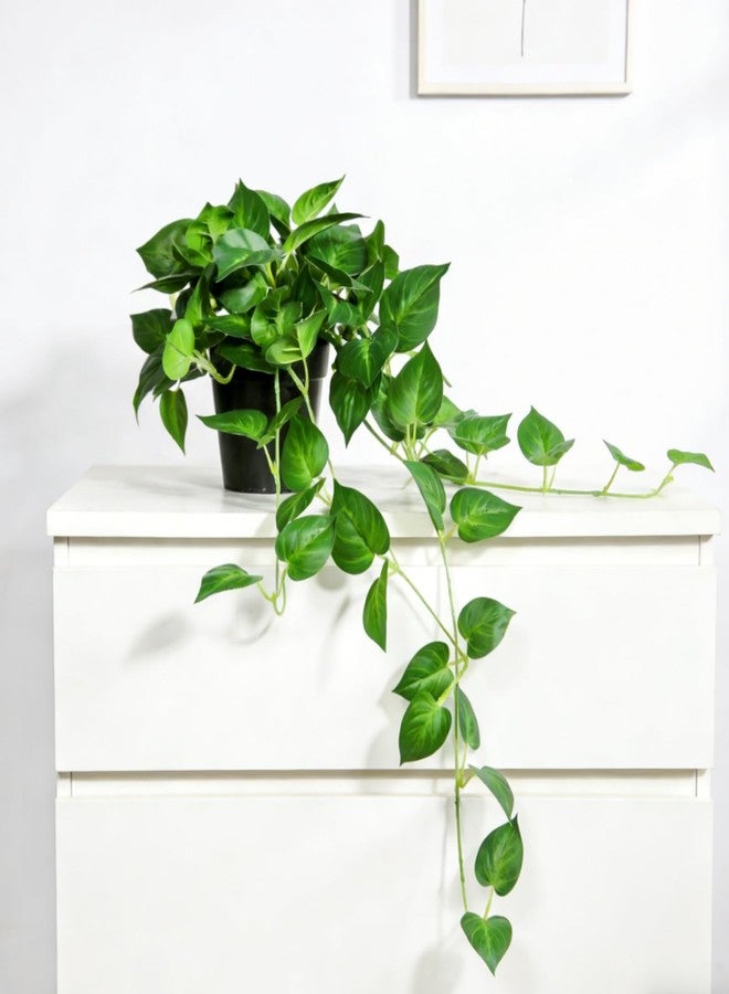 EQUSPUR 2Pcs Faux Hanging Plant Indoor, Artificial Potted Plants with Plastic Pot, Fake Ivy Plants for Home Decor for Room Office Shelf Tabletop Decoration - Image 4