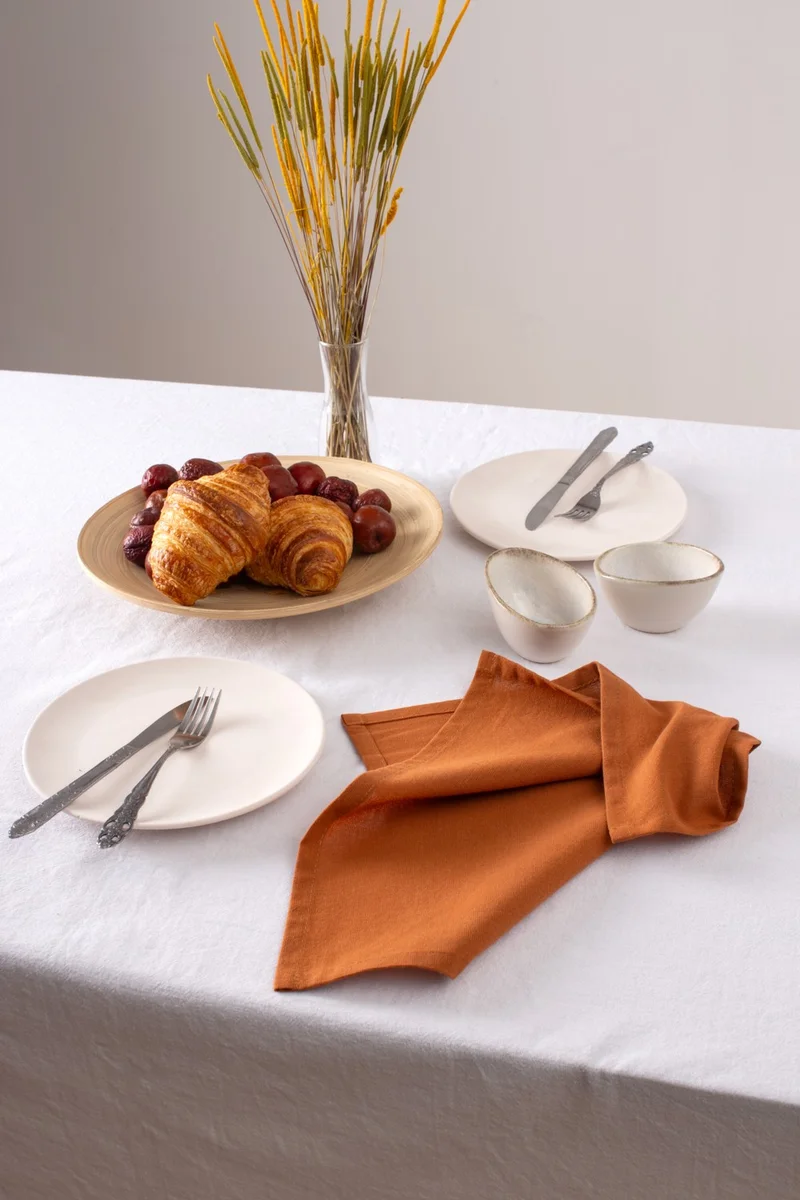 ويلستيل 6-Pack Premium Linen Cinnamon Napkin 40 x 40
