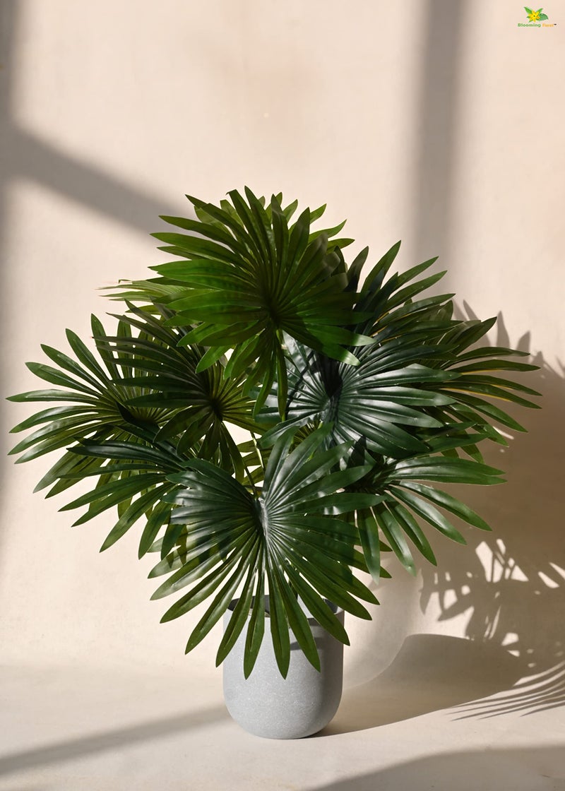 Blooming Floret Polyester Artificial Fan Palm | With Basic Black Pot | 12 Leaves | 65 Cm Short Ornamental Plant For Interior Decor/Home Decor/Office Decor | Green Indoor Plant | Durable - Image 4