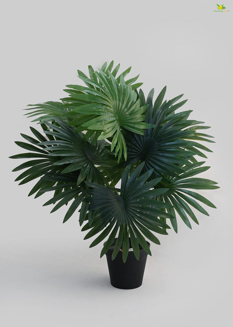 Blooming Floret Polyester Artificial Fan Palm | With Basic Black Pot | 12 Leaves | 65 Cm Short Ornamental Plant For Interior Decor/Home Decor/Office Decor | Green Indoor Plant | Durable - Image 1