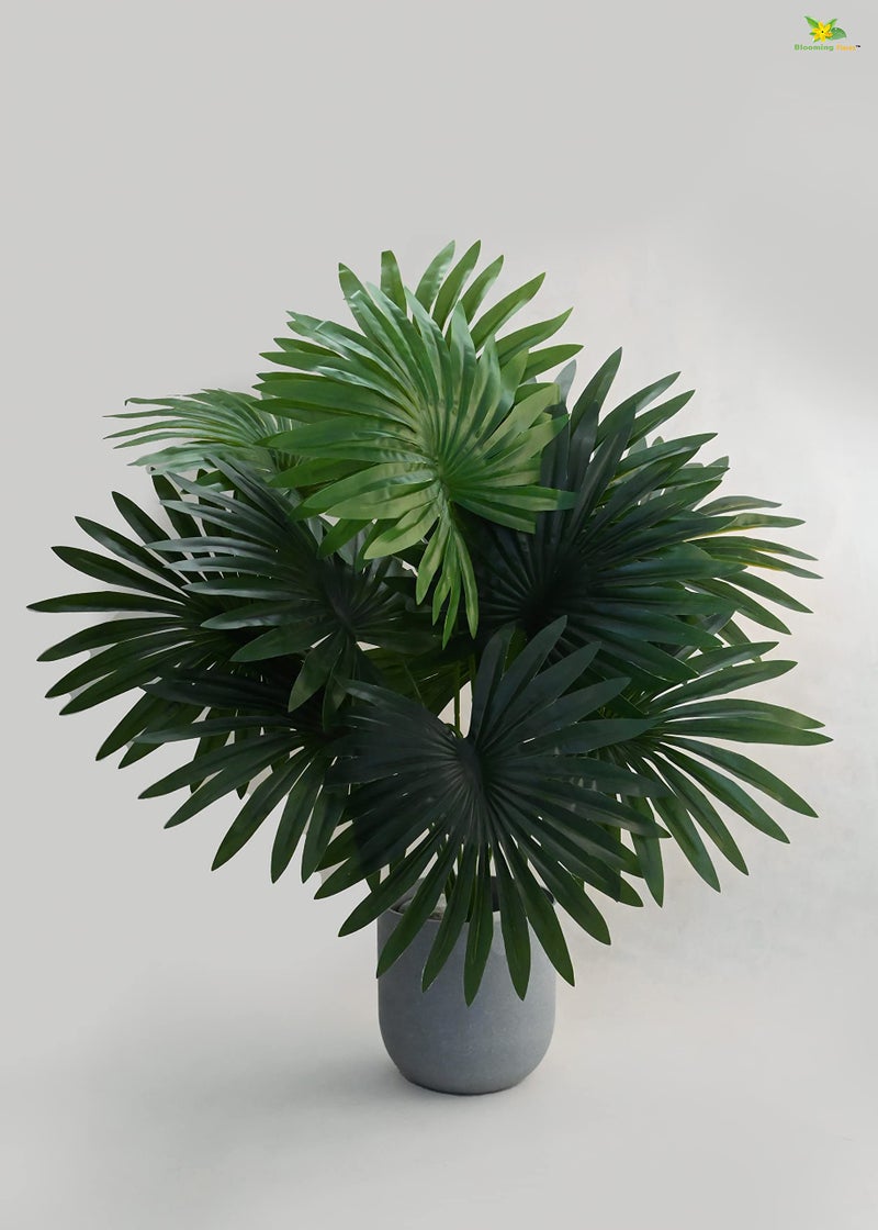 Blooming Floret Polyester Artificial Fan Palm | With Basic Black Pot | 12 Leaves | 65 Cm Short Ornamental Plant For Interior Decor/Home Decor/Office Decor | Green Indoor Plant | Durable - Image 2