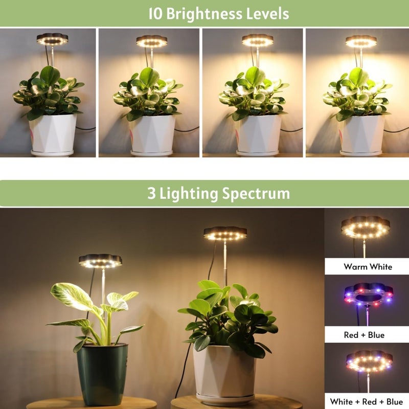 ضوء نمو النباتات للنباتات الداخلية، ضوء LED بسpectrum كامل مع قاعدة قابلة للإزالة، أضواء نمو بساعة تلقائية، 10 مستويات إضاءة، 3 أنماط إضاءة، مصباح نمو على الطاولة للنباتات الصغيرة - Image 4