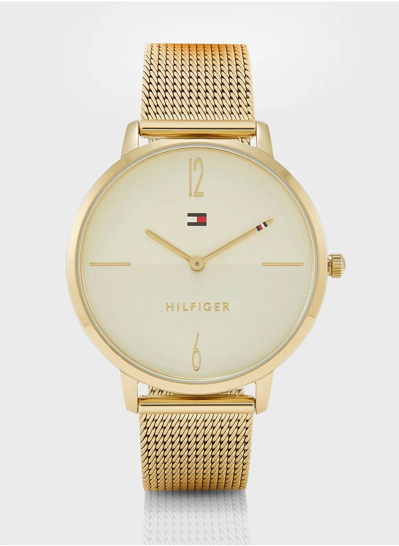 TOMMY HILFIGER Liza Steel Strap Analog Watch