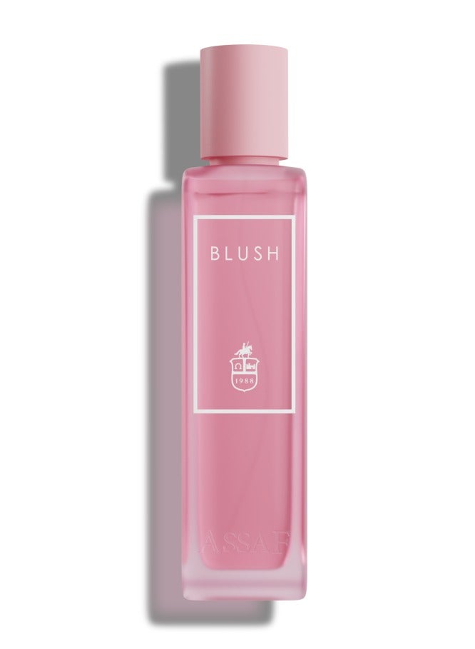 ASSAF Blush Assaf  Vaporisateur_Natural Spray  - Image 2