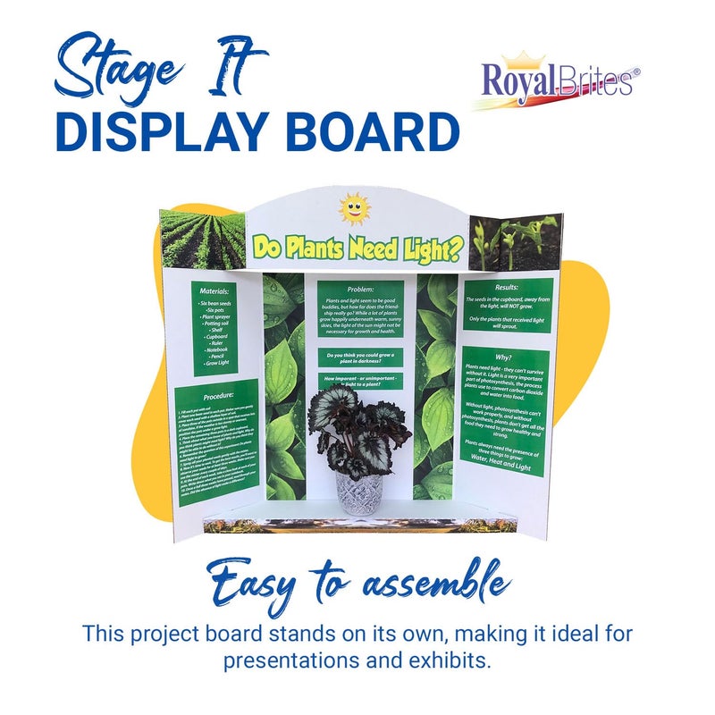 Royal Brites Stage-It Display Board, 37" x 44" 5 Pack Tri-fold Presentation Board with 3D Pop-Out Header & Shelf, White Corrugated Board for Science Fairs, School Projects, Work Presentations - 5 Pack - Image 2