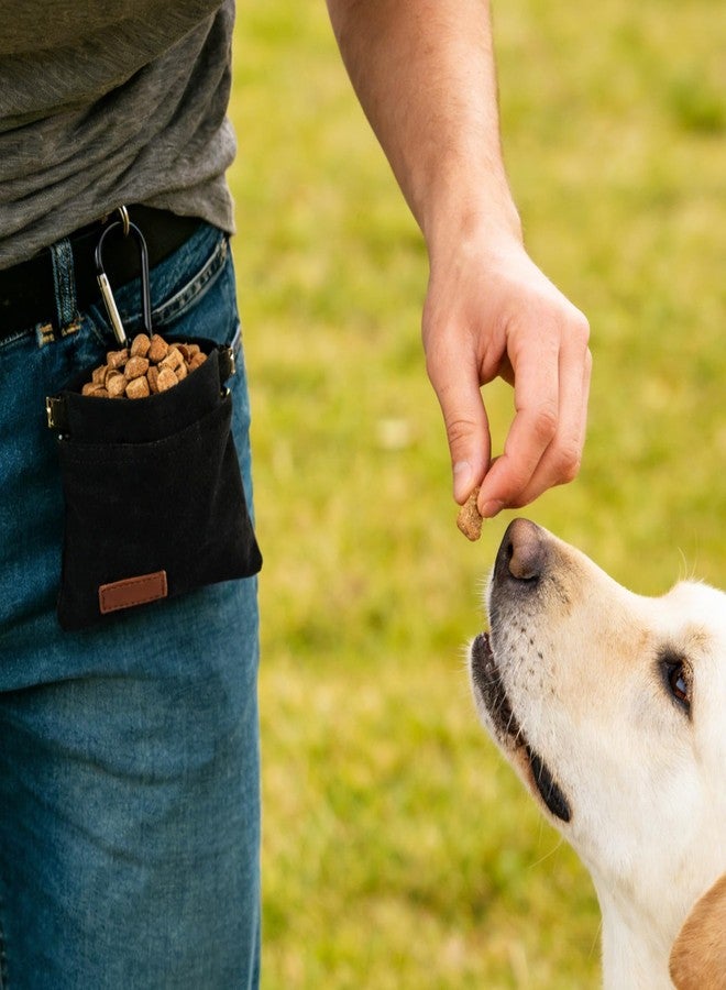 Dfqsofd 2Pcs Dog Treat Pouch, Hand Free Dog Training Treat Pouch with Carabiner, Portable Pet Feed Snack Bag for Travel or Outdoor Use, Self-Closing - Image 3