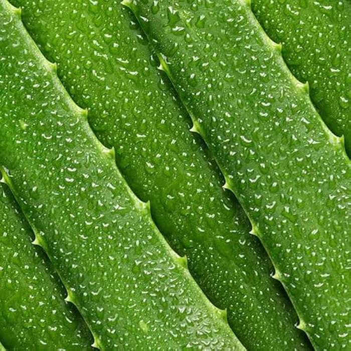 Mario Badescu Aloe Vera Toner for Face | Hydrating Facial Toner for Dry and Sensitive Skin | Gentle Astringent for Face with Aloe Vera to Soothe, Refresh, and Balance Skin | Skincare for Men and Women - Image 4