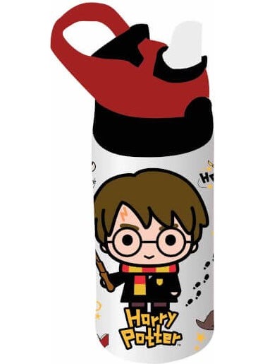 Harry Potter Steel Flask - pzsku/ZB92591D2C99DE6B4A436Z/45/_/1725790832/66a0d130-c959-4594-94e0-917dd7e98b75