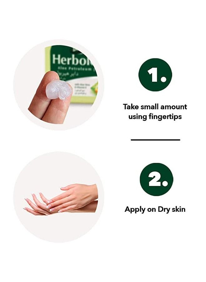 Dabur Herbolene Aloe Petroleum Jelly | Enriched with Aloe Vera and Vitamin E | For Dry and Rough Skin - 425 ml - pzsku/ZB925EC52DB0A43204CD8Z/45/_/1679641133/dfff848c-6344-4ff6-bc5a-8dd89046ec70