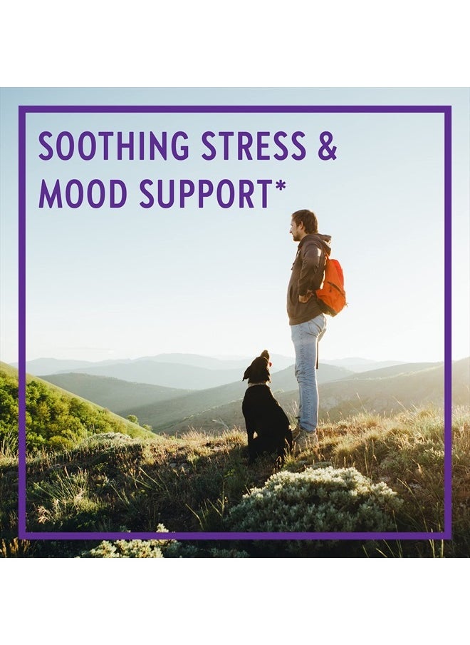 New Chapter - Perfect Calm - Daily Multivitamin for Stress & Mood Support with B Vitamins + Holy Basil + Lemon Balm + Organic Non-GMO Ingredients - 144 Count - Image 1