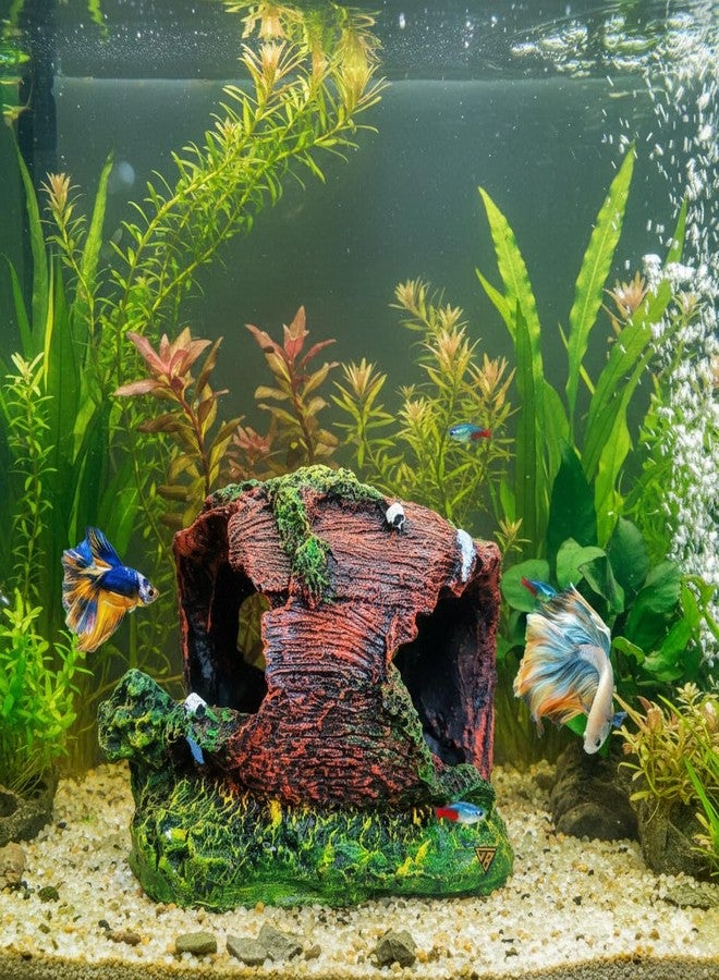 GIG BAZAAR- Aquarium Decoration Artificial Wooden Tree Hidden Space for Small Fish & Shrimp Hideawa Decorative Ornaments for Aquarium Decoration Toy - Image 1
