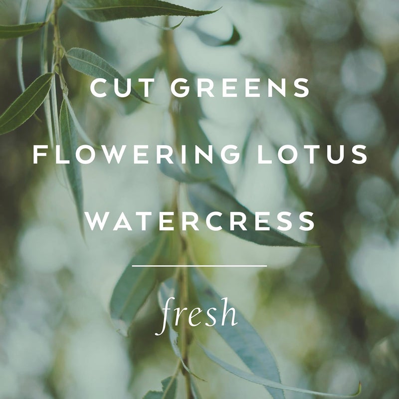 Library of Flowers Willow & Water Parfum Crema, 2.5 oz., Cut Greens, Flowering Lotus, & Watercress Scented Women's Solid Perfume, Long Lasting Fragranced Body Lotion - Image 4