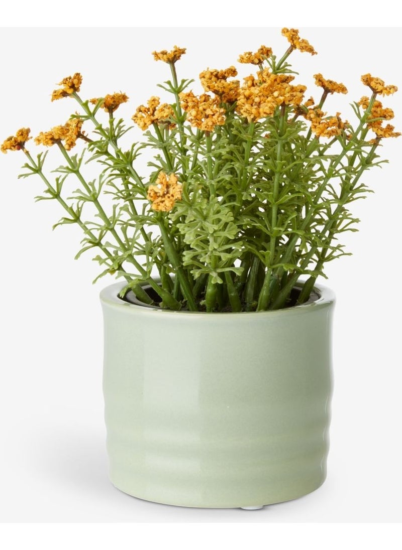 Flowerpot Tim Ø9XY7CM Various - pzsku/ZB92777F7000DA1CC1C30Z/45/_/1737015080/b323fb24-be17-4777-839d-9d7c481c2d2d