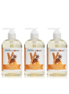 Moisturizing Liquid Hand Soap  Citrus  Spice  PlantBased  Aloe Vera  Scented w Essential Oils  Natural Hand Wash Kitchen  Bathroom  12 Fl Oz Pump Bottles Pack of 3