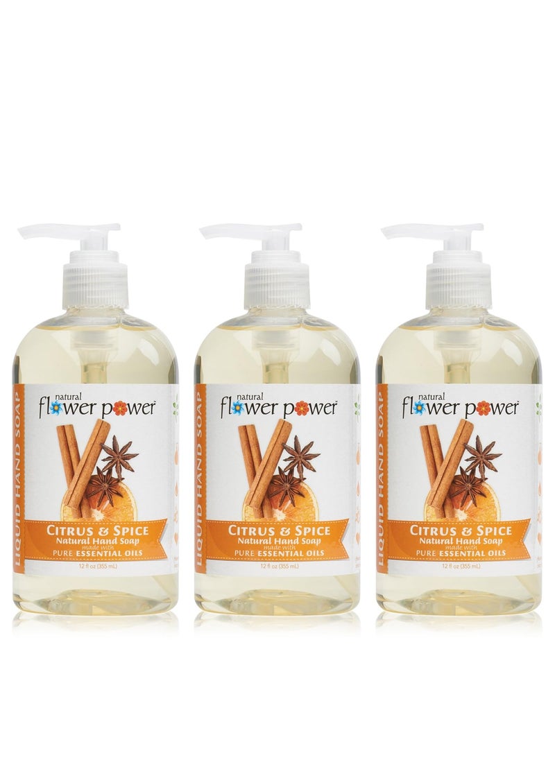 Natural Flower Power - Moisturizing Liquid Hand Soap  Citrus  Spice  PlantBased  Aloe Vera  Scented w Essential Oils  Natural Hand Wash Kitchen  Bathroom  12 Fl Oz Pump Bottles Pack of 3 - Image 1