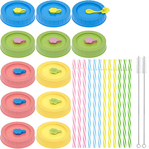 Qinline Regular Mouth Mason Jar Lids with Straw Hole/Stoppers/Silicone Rings/Cleaning Brush, Rust-proof, BPA Free Plastic Canning Lids, Great for Drinking & Food Storage(26 Pack) - Image 1
