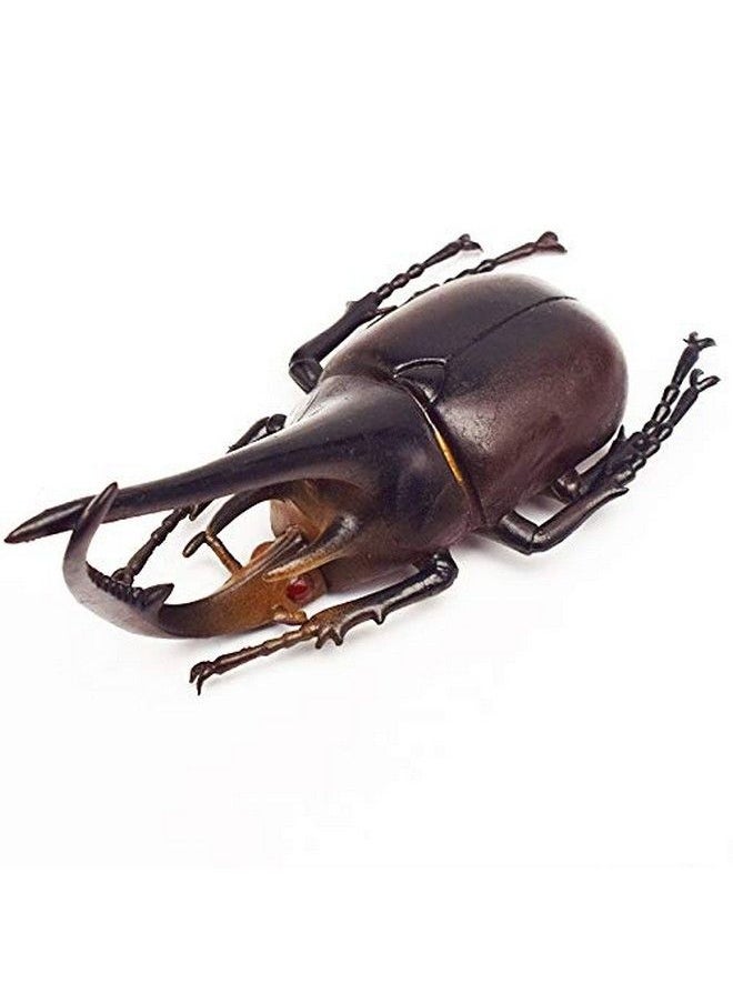 Hosfairy - Halloween Entomological Bugs Model For Party Favours (Style Random / 6Pcs) - Image 1