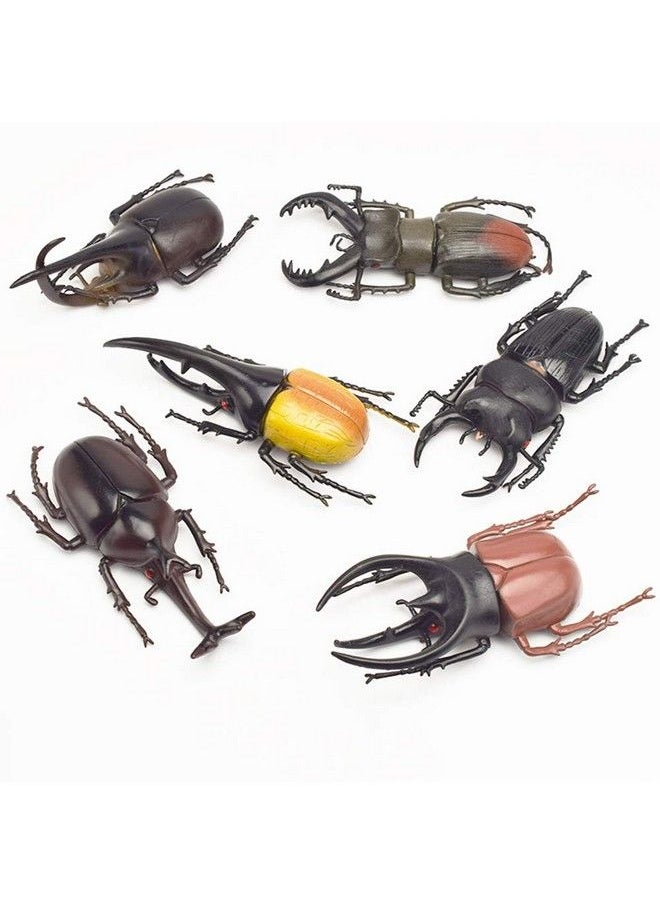 Hosfairy - Halloween Entomological Bugs Model For Party Favours (Style Random / 6Pcs) - Image 1