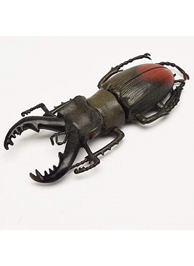 Hosfairy - Halloween Entomological Bugs Model For Party Favours (Style Random / 6Pcs) - Image 1
