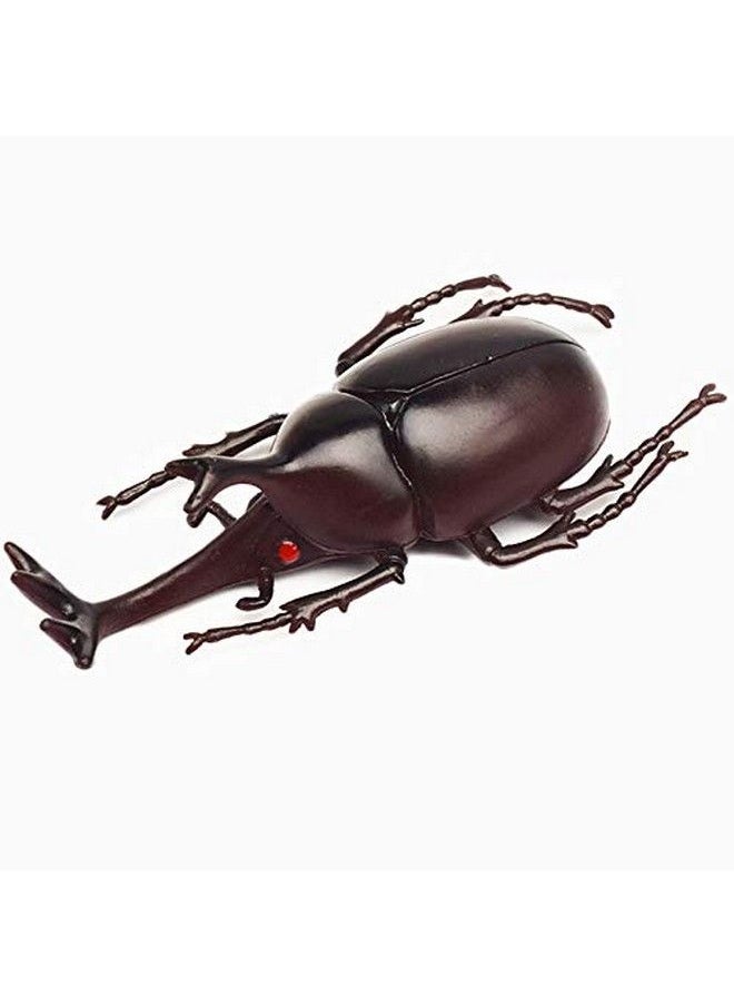 Hosfairy - Halloween Entomological Bugs Model For Party Favours (Style Random / 6Pcs) - Image 1