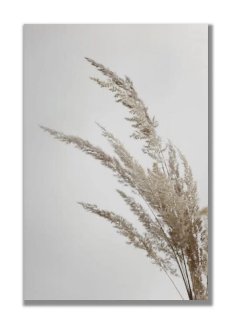 Drawdeck Soft Natural Pampas Grass