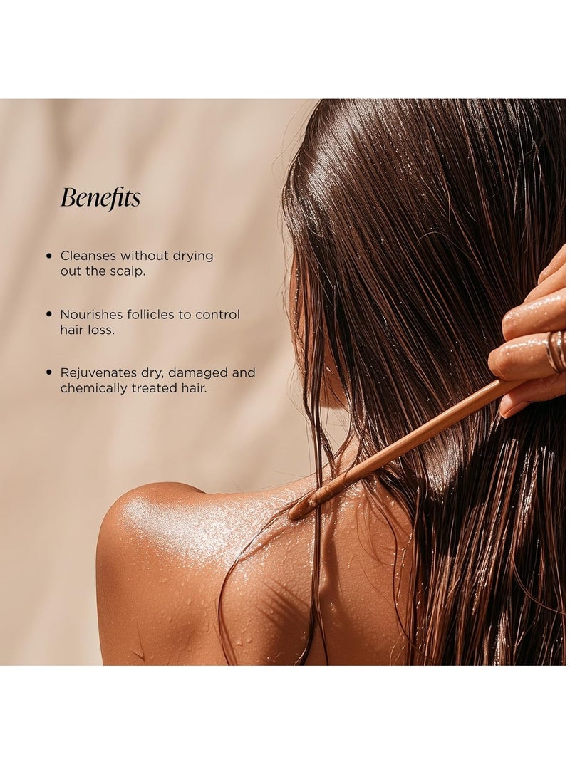 فورست اسينشالز منظف الشعر فورست إسينشالز بحجم مناسب للسفر، شامبو جاباباتي براهمي، 200 مل - Image 3