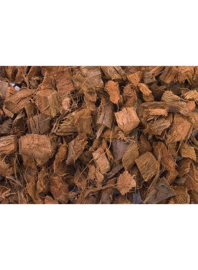 T-Rex Reptile Terrarium Substrate - Coconut Bark 4qt Bag (4qt) - Image 2