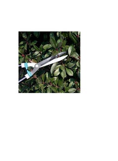 TOTAL Total 3-Piece Garden Shears Set – Includes 8.5'' Pruning Shear, 23'' Hedge Shear, and 29'' Lopper | Durable Heat-Treated Blades with Teflon Coating for Effortless Cutting  - Image 5