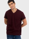 American Eagle Essential V-Neck T-Shirt