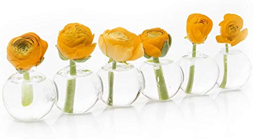 Chive CHIVE Caterpillar Bubble Bud Vase for Centerpieces  6 Hole Multi Chamber Clear Glass Flower Vase for Short Flowers  Small 1025 Long Set of 6