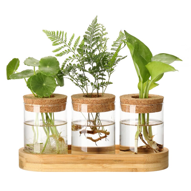 onepeng 3Pcs Propagation Stations, Plant Terrarium with Lid and Wooden Stand,Desktop Glass Planter Hydroponics Vase,Home Office Living Room Decor Gifts - Image 1