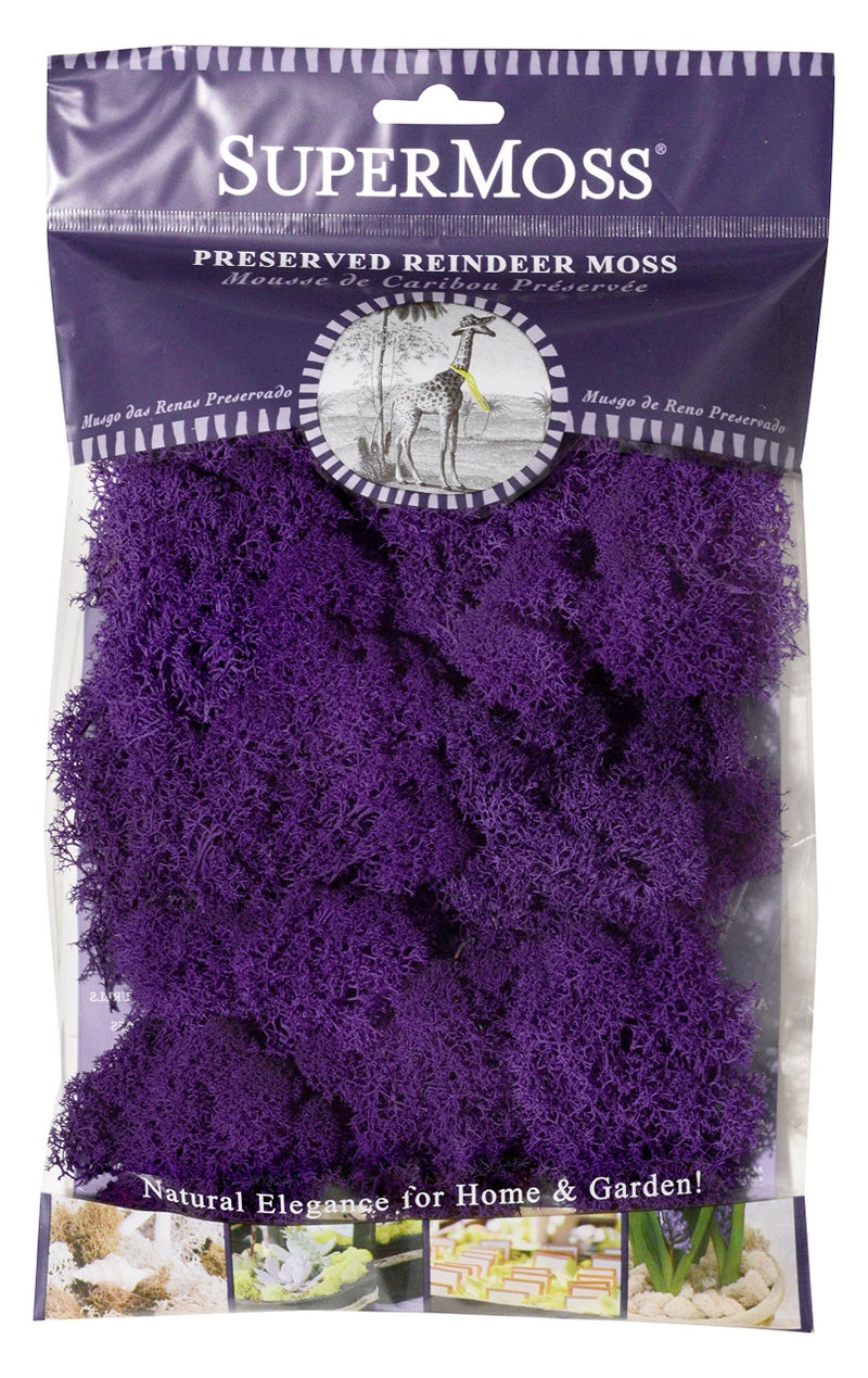 SuperMoss (25124) Reindeer Moss Preserved, Appx. 2oz, Purple - Image 1