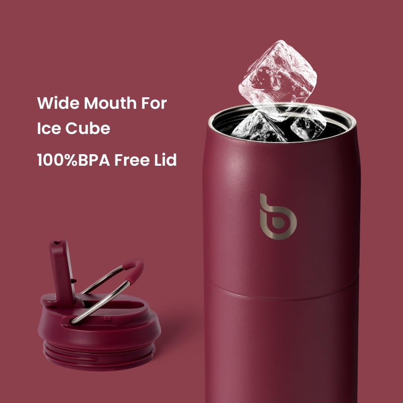 bottle bottle زجاجة زجاجة زجاجة ماء من الفولاذ المقاوم للصدأ مع قشة وغطاء، 32 أونصة كوب معزول بالفراغ، يبقى بارداً وساخناً، زجاجات ماء رياضية مقاومة للتسرب بفم واسع باللون الأحمر - Image 4