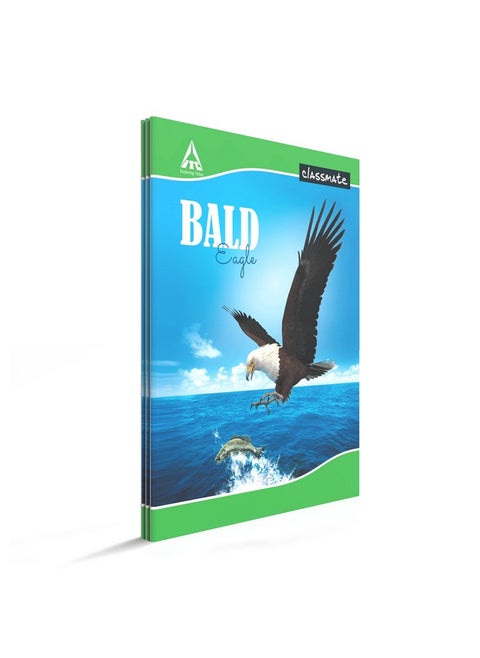 Classmate Long Book - Single Line, 172 Pages, 297 mm x 210 mm - Pack Of 3