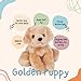 Jolitee Golden Retriever Plush Tan Dog Stuffed Animal Soft Huggable Small Stuffed Dog Plushie 65x7 - Image 2
