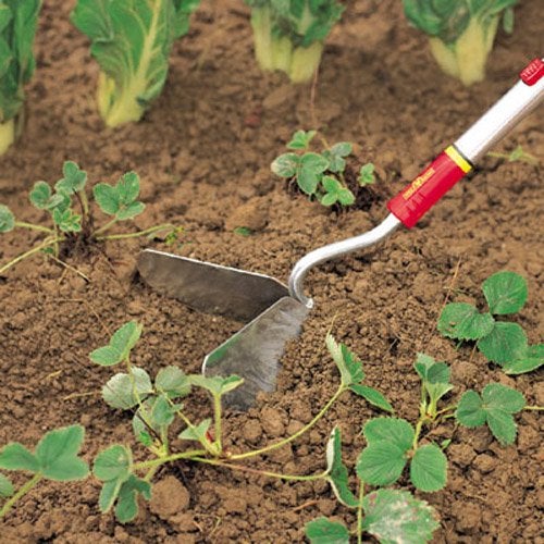 Fieldstar Wolfgarten Steel Multi Star Culti-Weeder Without Handle (Ridge) - Image 3