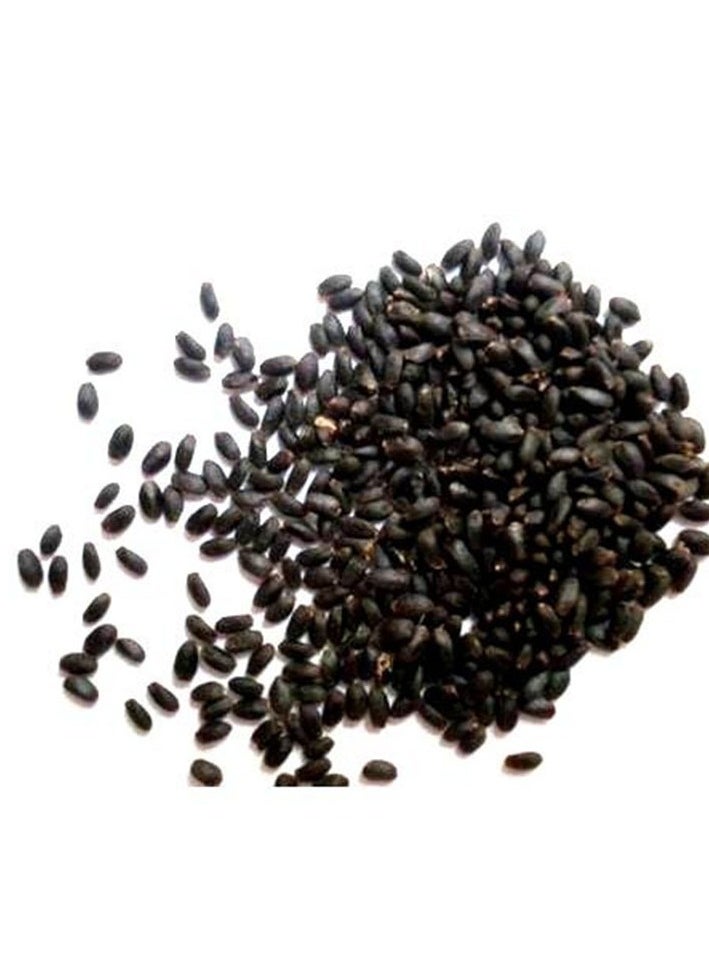Moringa seeds