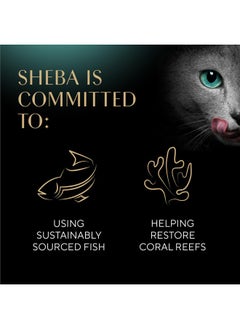 Sheba Sheba Meaty Tender Sticks Soft Cat Treats with Chicken, Tuna Flavor, and Salmon Flavor, 0.14 oz., 40 Count  - Image 5