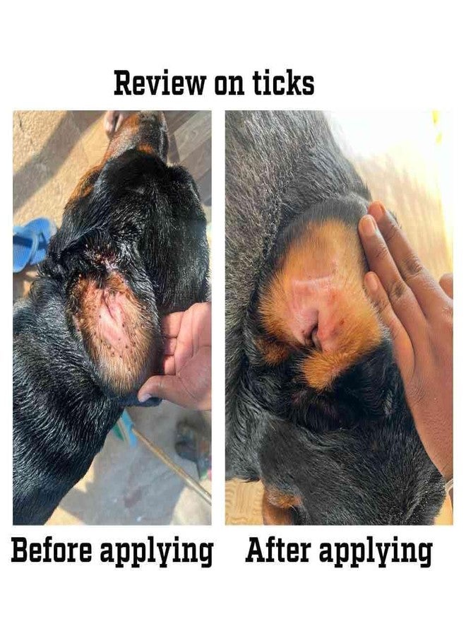 TICKZ OFF Pet Oil - Kills Ticks, Fleas, Mites - Helps Reduce Itching, Hair Fall, Dandruff, Inflammation - for Dogs & Cats of All Breeds & Ages - Easy to Apply & Wash Off (200ml) - Image 4