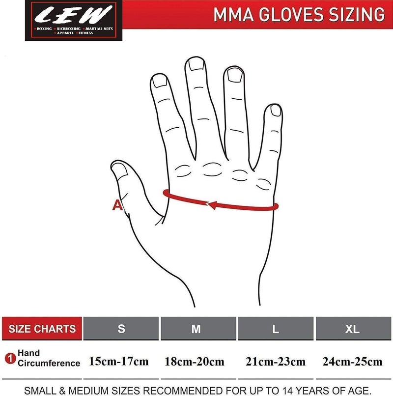LEW Star Grappling Training MMA Gloves - Image 3