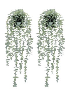 Two pots of gray-white eucalyptus leaves