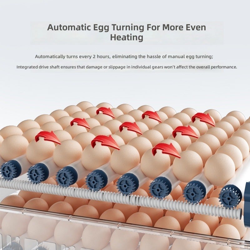 Nuan Fu Bao Smart Automatic Egg Incubator, Small Home Use Digital Hatching Machine with Temperature & Humidity Display, Auto Water Refill & Egg Turning, Adjustable Egg Tray for Chicken & Quail Eggs - Image 4
