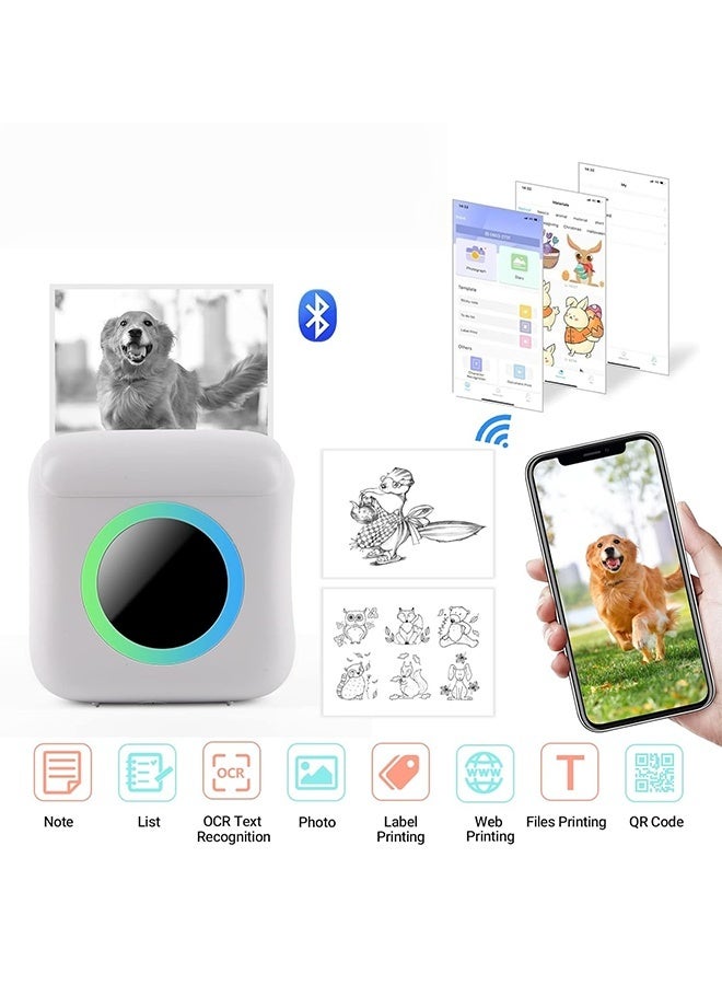 داكس طابعة صور بلوتوث صغيرة – طابعة حرارية محمولة فورية بدون حبر مع 13 رول ورق، للطباعة على الصور، الملاحظات، الملصقات، والإيصالات – متوافقة مع أجهزة أندرويد وآيفون - Image 5