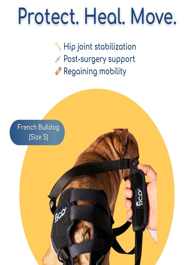 Fico Dog Hip Dysplasia Brace, Adjustable Rear Hip Support for Dogs for Pain Relief, Leg Weakness & Arthritis, Vet Recommended, Targeted Compression, Comfortable Neoprene Harness (Small) - Image 4