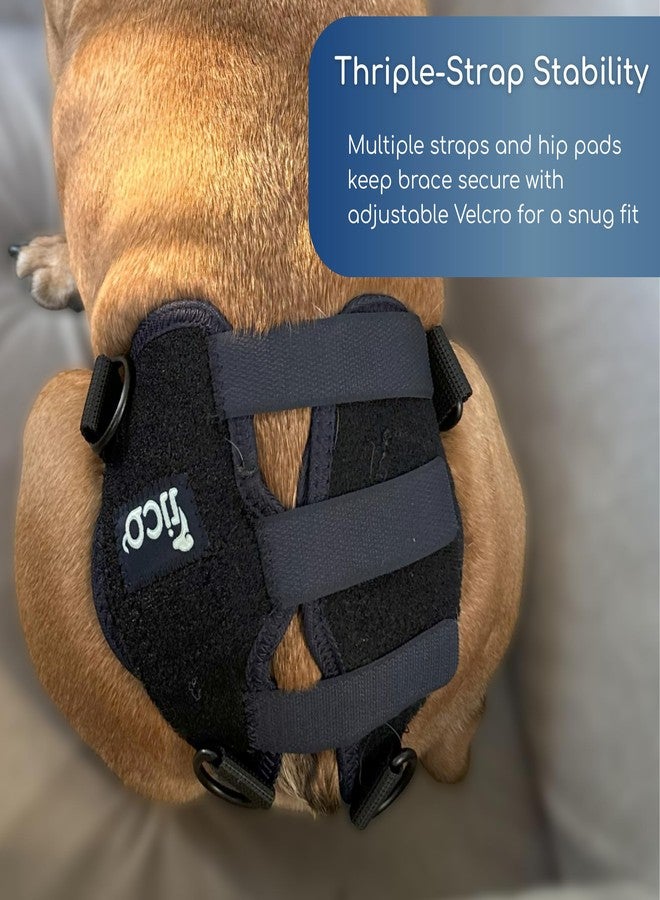 Fico Dog Hip Dysplasia Brace, Adjustable Rear Hip Support for Dogs for Pain Relief, Leg Weakness & Arthritis, Vet Recommended, Targeted Compression, Comfortable Neoprene Harness (Small) - Image 3
