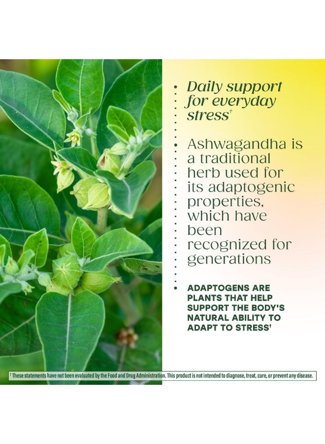 MegaFood Ashwagandha Complex, Supports Healthy Cortisol, 60 Mini Tablets,Ashwagandha Supplements for Women & Men with Astragalus Root & Holy Basil, Stress Support, Vegetarian, Non-GMO, 30 Servings - Image 5